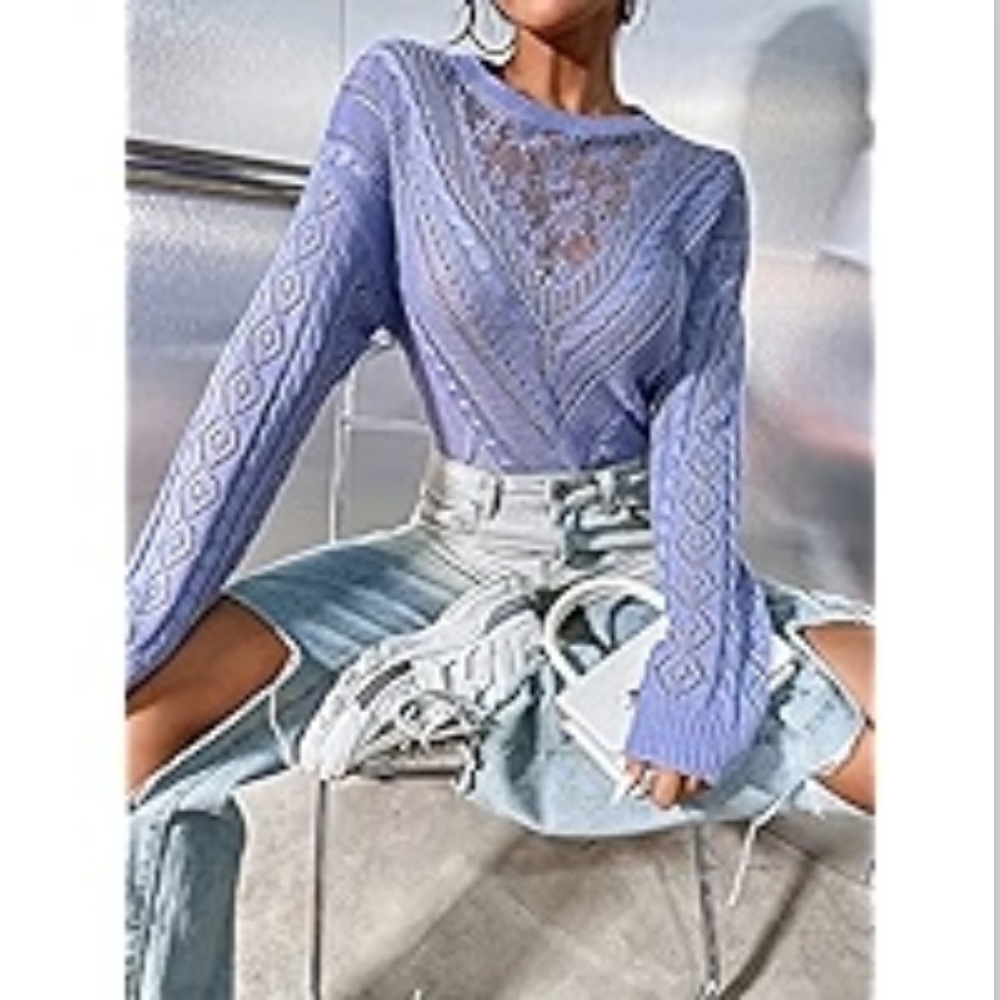 NWOT Light Blue Lace Sweater